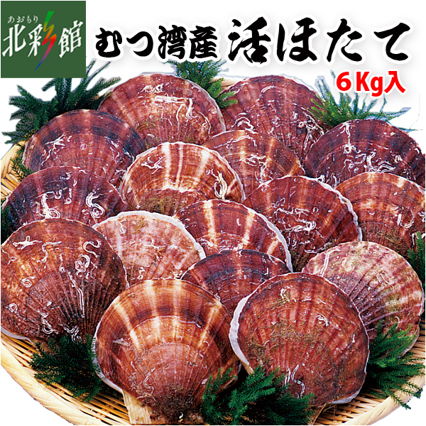 あおもり自慢／あおもり北彩館 / むつ湾産活ほたて 6kg（23～30枚）