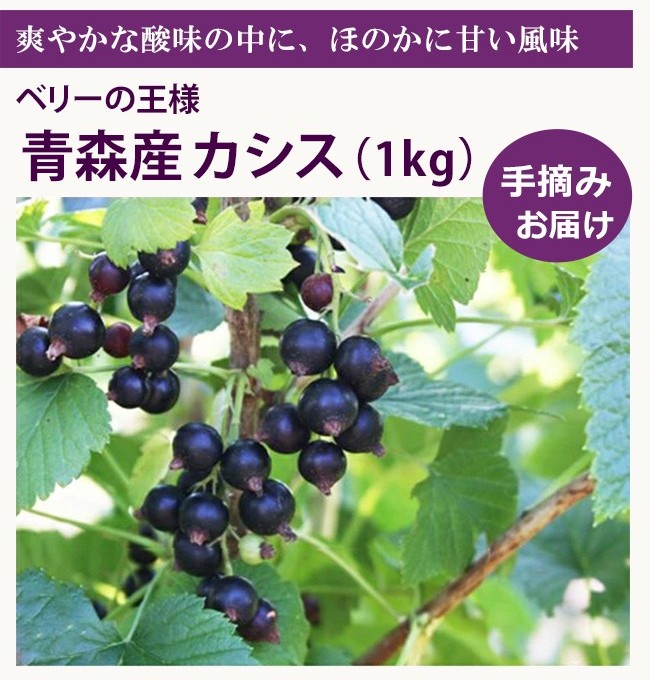 青森産カシス